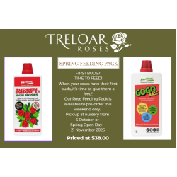 Spring Feeding Pack